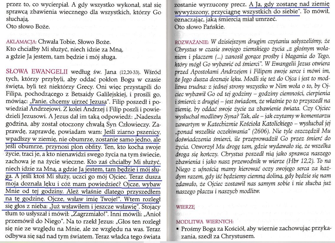 „Chcemy ujrzeć Jezusa” (J 12,20-33)