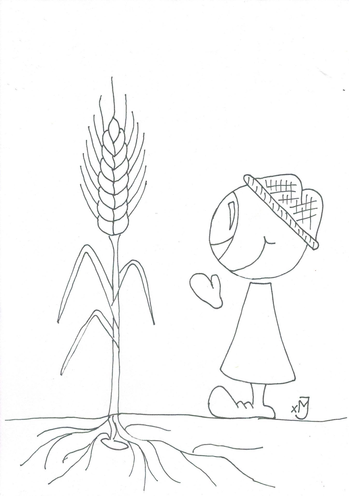 Ziarno, które wpadłszy w ziemię obumrze, przynosi plon obfity