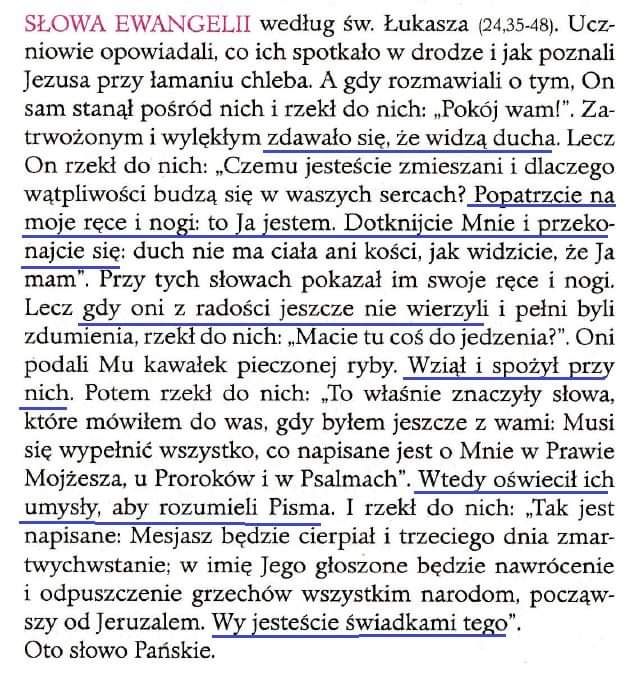 Poznać – zrozumieć – świadczyć: dynamika paschalnej wiary (Łk 24,35-48)