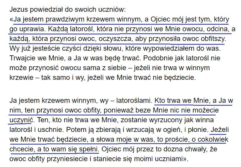 Sens naszego „trwania” w Chrystusie (J 15,1-8)