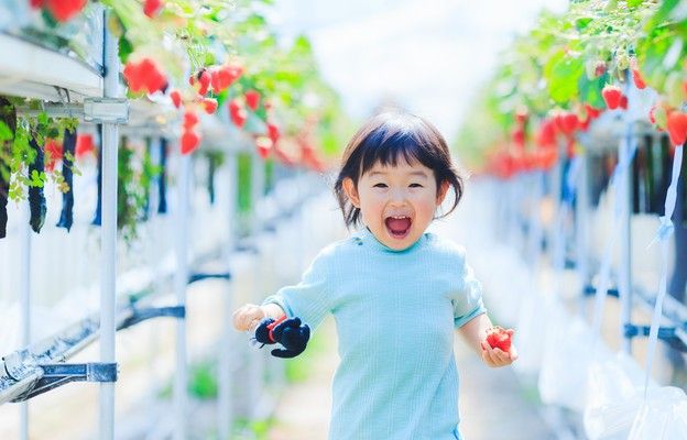 ŚWIAT: 8-latka z Japonii postanowiła zostać chrześcijanką, w ślad za nią poszła również jej matka